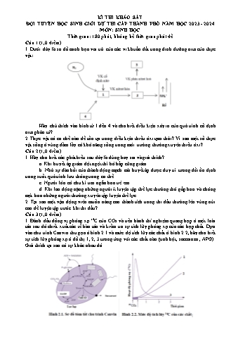 Đề khảo sát HSG Sinh học 12 - Năm học 2023-2024 (Có đáp án)
