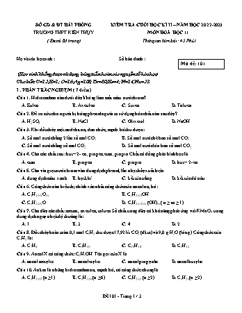 Đề kiểm tra cuối học kì II Hóa học 11 - Mã đề 101 - Năm học 2022-2023 - Trường THPT Kiến Thụy (Có đáp án + Ma trận)