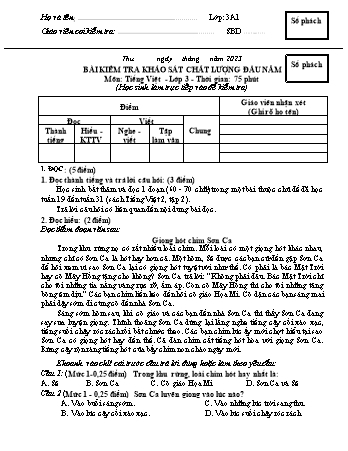 Đề kiểm tra KSCL đầu năm Tiếng Việt 3 - Năm học 2023-2024 - Trường TH&THCS Việt-Anh (Có đáp án + Ma trận)