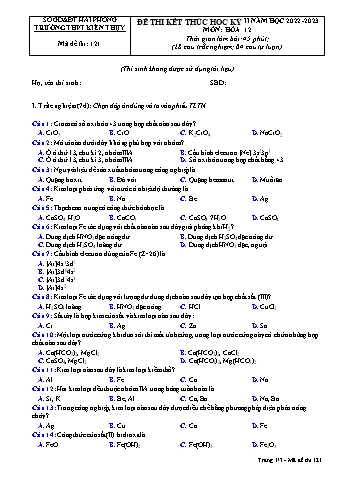 Đề thi cuối học kì II Hóa học 12 - Mã đề 121 - Năm học 2022-2023 - Trường THPT Kiến Thụy (Có đáp án + Ma trận)